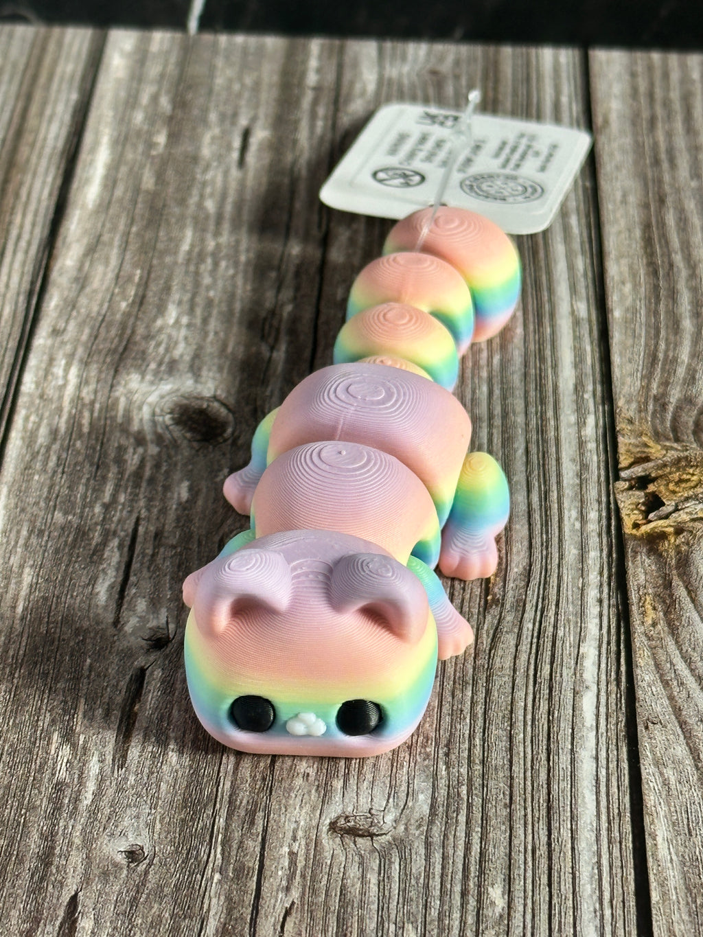 Flexi Rainbow Cat