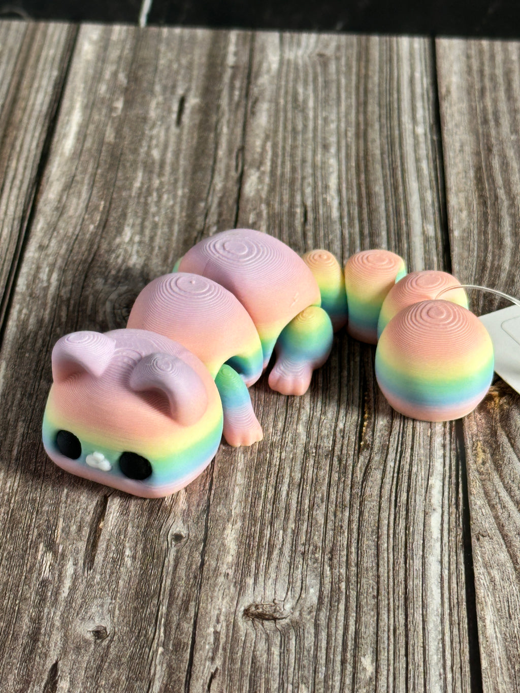 Flexi Rainbow Cat